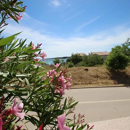 Four Bedroom House Amaya Villa Medulin