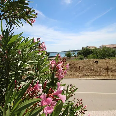 Villa Four Bedroom House Amaya