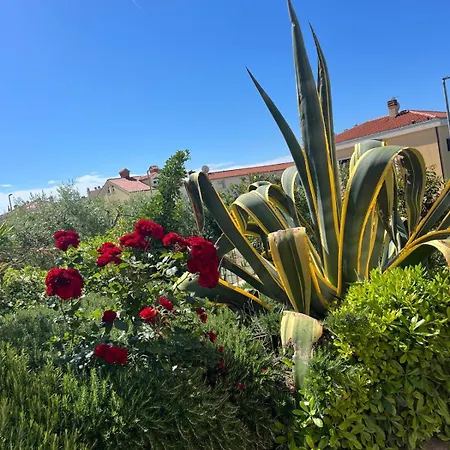 Four Bedroom House Amaya