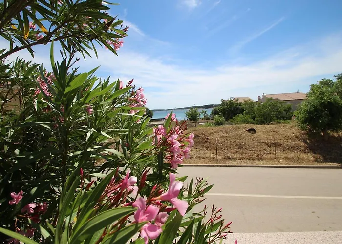 Villa Four Bedroom House Amaya