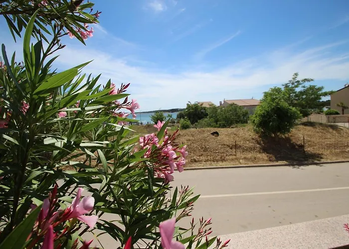 Four Bedroom House Amaya Villa Medulin